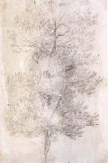 Claude Lorrain, A Tree Trunks (mk17)